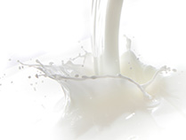 Fettarme Milch 1,5%